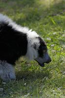 Cjp_2011_08_01_120514 (2).jpg